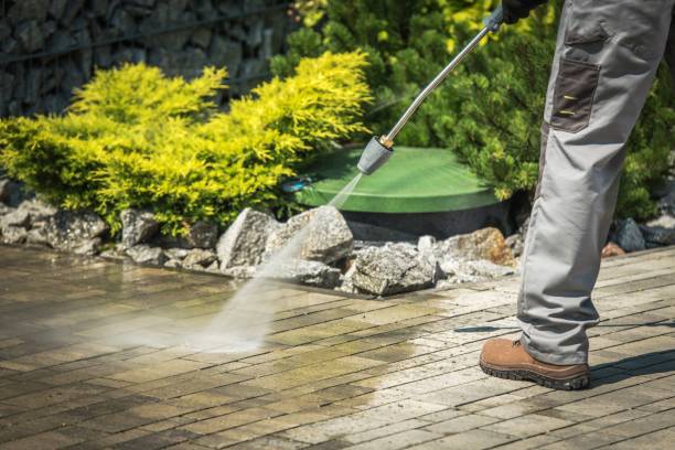 Best Boat and Dock Cleaning  in Jan Phyl Village, FL
