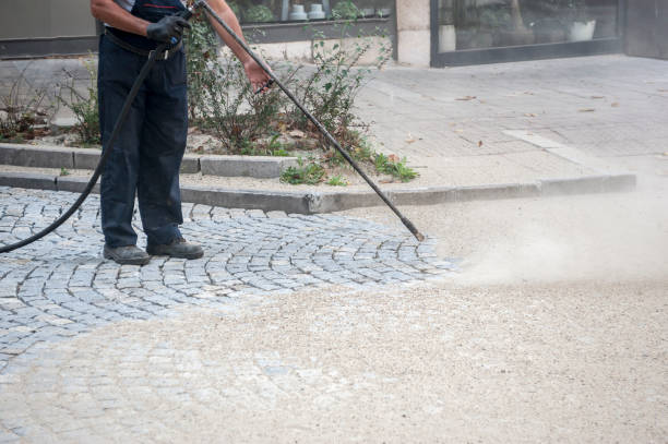 Best Driveway Pressure Washing  in Jan Phyl Village, FL