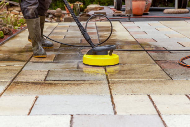 Animal Enclosure Cleaning in Jan Phyl Village, FL